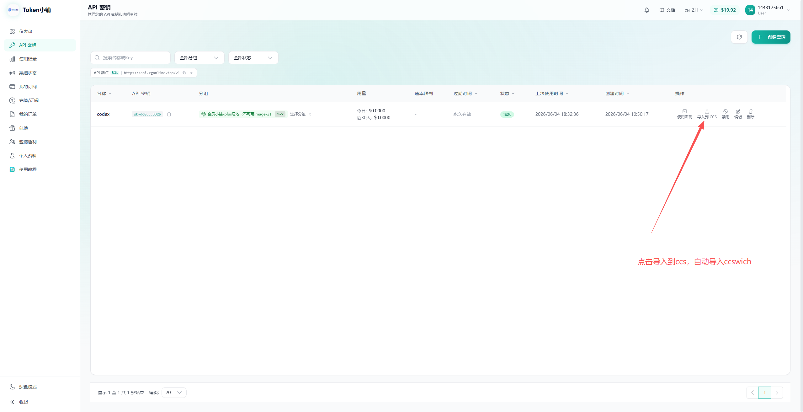 Token小铺 API 密钥页导入到 CCS 按钮位置